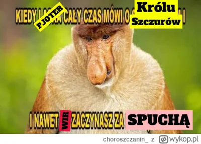 choroszczanin_ - #konkursnanajbardziejgownianymemznosaczem