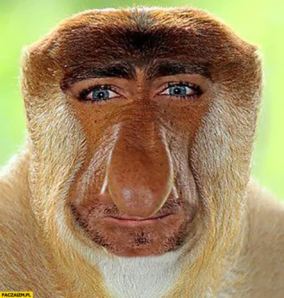 pink_avenger - @xdTM: A ja jeszcze to kojarzę