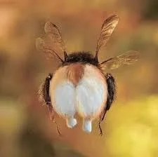 mikasio_ - #dupeczkizprzypadku ćmiel