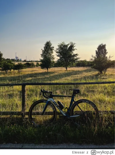 Elessar - Propel w Golden Hour