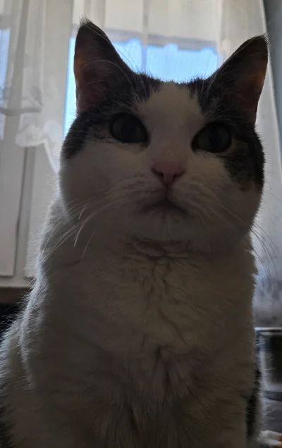 Solsith - @Lujdziarski: mam rzut beretem do nich, zabiorę spaślaka to się znajdzie co...