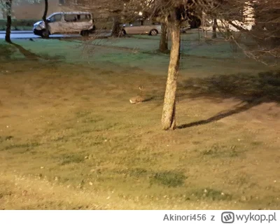 Akinori456 - @Akinori456 A Tutaj drugi: (｡◕‿‿◕｡)