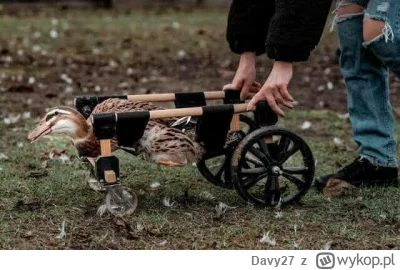 Davy27 - @iniacz: Wiem że zostanę zaraz zjechany ale czy to nie jest czasem przesada ...