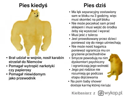 Kielbasiarz - Widze, ze zaczelo sie robic powazniej i #psiegrywy wytoczyly najciezsze...