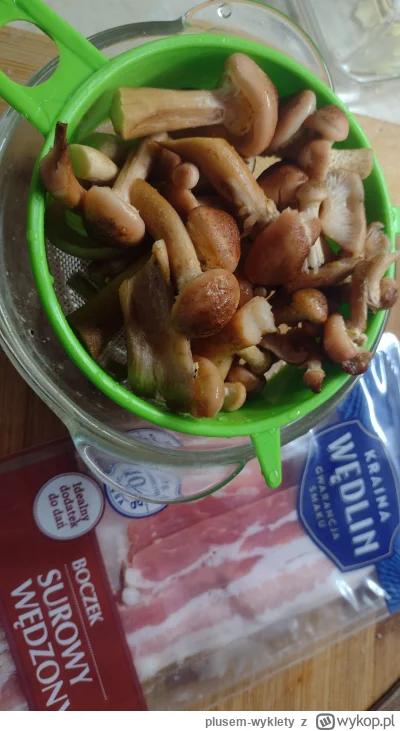 plusem-wyklety - Opieńki pojawiły się w kolejnym miejscu obok domu. Nie muszę chyba p...