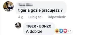 FrizPL_ - #bonzo bec