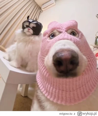 mtgosciu - @Plecak-Ewakuacyjny_pl: