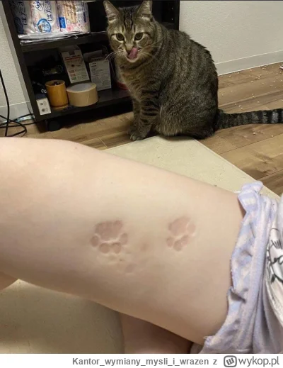 Kantorwymianymysliiwrazen - @Neocaridina: Miałam gorzej.
( ͡° ʖ̯ ͡°)ﾉ⌐■-■