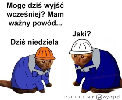 ROTTE_N - #humorobrazkowy #pracbaza