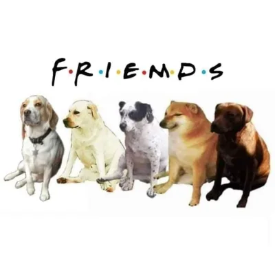 wfyokyga - Dzień dobry