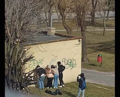 GenetycznyDominatornik - #p0lka