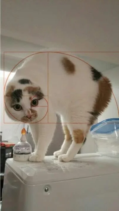 wybryk_natury - #zlodziejskiewybryki