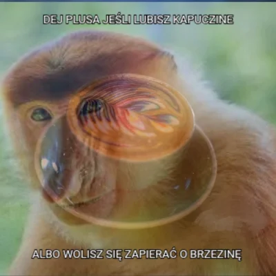 Sirius_Son - #konkursnanajbardziejgownianymemznosaczem