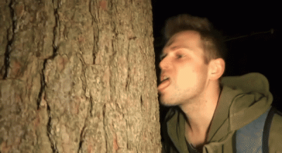 CzekuKari - Dendrofil.pdf
kocham młode sadzonki drzew. eS.
#kononowicz #patostreamy