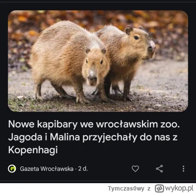 Tymczas0wy - W Śląsku Wrocław są już pierwsze zimowe wzmocnienia. Transfery prosto z ...