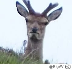 BigVV - #mecz wchodzi