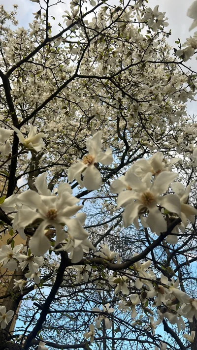ForTravelSayYes - Wiosna to nadpora roku. Życie zieleń owoce śpiew ptaków. Jesień ład...