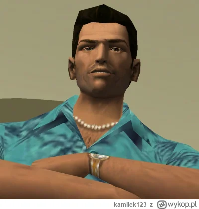 kamilek123 - Jak byłem mały to zagrywałem się w gta vc i chciałem być takim giga sigm...