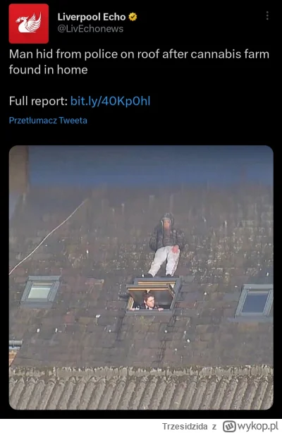 Trzesidzida - #heheszki