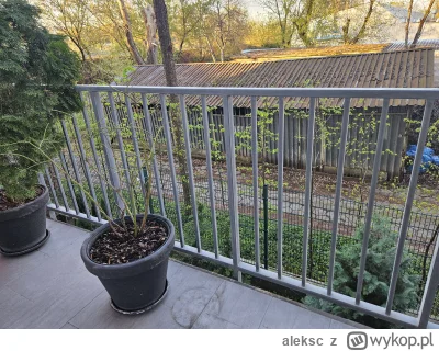 aleksc - Wziąłem się za renowacje balustrady na balkonie. Czemu ja się sam za to zabr...