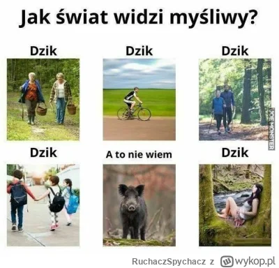 RuchaczSpychacz - @ty_O  lepiej nie