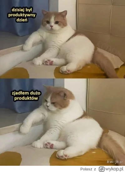 Polasz - Dzień dobry :)