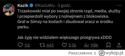 Paszczakova - #wybory