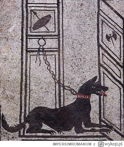 IMPERIUMROMANUM - Pies stróżujący na rzymskiej mozaice

Pies stróżujący na rzymskiej ...