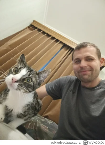 o.....e - #pokazkotka