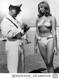 wylisiony_afrowiorek - Witam wszystkich podróżnych
bileciki do kontroli 
Oho, gapowic...