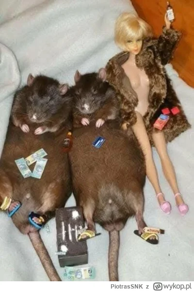 PiotrasSNK - @psspspspsp: