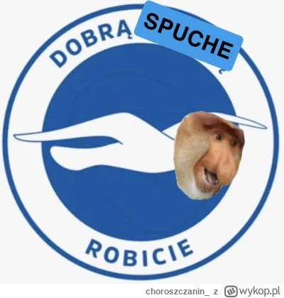 choroszczanin_ - #konkursnanajbardziejgownianymemznosaczem #kanalzero