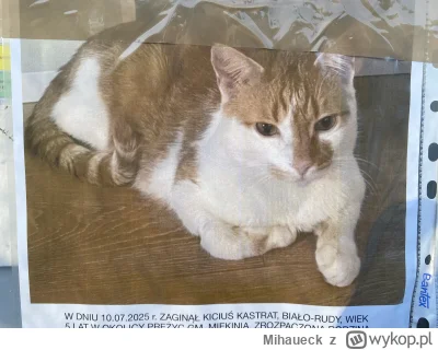 Mihaueck - #fredikamionka mam nowego kandydata - Kiciuś Kastrat