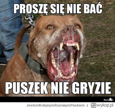 JestemKolejnymRozowymPaskiem - Od kilku dni jest akcja psiarzy, którzy próbują bagate...