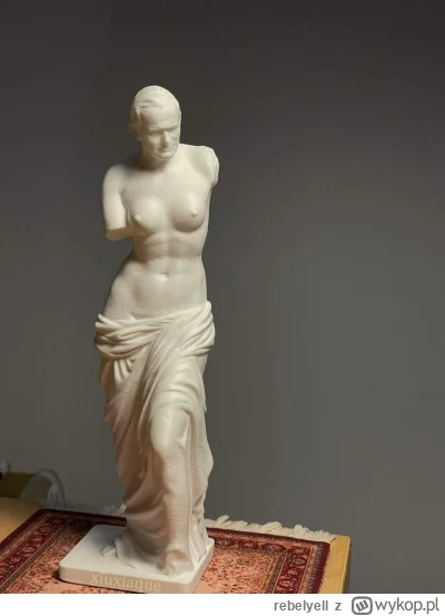 rebelyell - Wenus z Wadowic.
#druk3d #2137 #porannacenzopapa