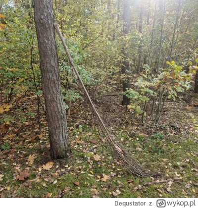 Dequstator - #harrypotter ja nie mogie, to nowy Nimbus 2000