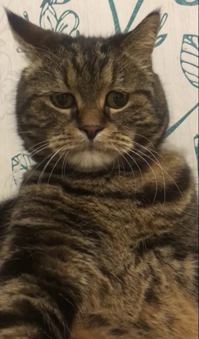 DziecizChoroszczy - #dobranoc
Idem już spać, żegnajcie kochani  😴🩷🧸😘