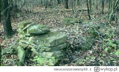 nieocenzurowany88 - Znajdź Tadeusza Dudę na zdjęciu 

#limanowa #policja