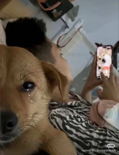 gr0m1t - SMSy do Stasia
SMSy do Bogusia
Messenger do jakiegoś typa
a do @CzikaKiri da...