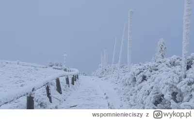 wspomnienieciszy - @marcus-tipo: Czeskie jeseniki. Pogoda zmienna. Po wejsciu na szcz...
