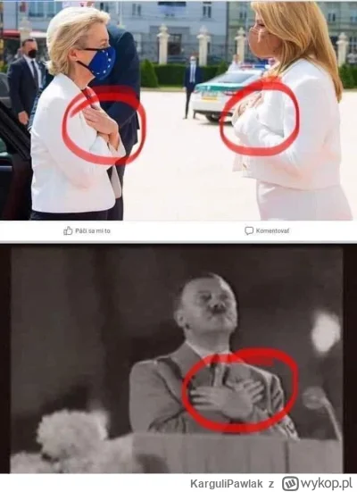 KarguliPawlak - #ocieplaniewizerunkuadolfahitlera