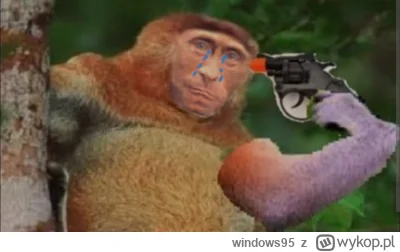 windows95 - @dqdq1 kompromitacja cw... fennrira :)