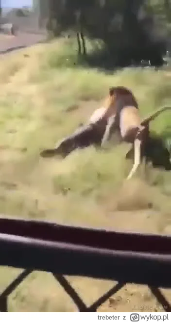 trebeter - #trzecieoko on się tylko bawi
mirror: https://dubz.link/c/949f19