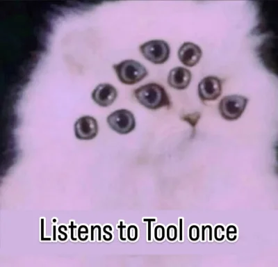 BezDobry - #heheszki #muzyka #metalprogresywny #humorobrazkowy 

Jeden z komentarzy n...