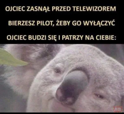 MajsterZeStoczni - ZOSTAW OGLONDAM PSZECIESZ