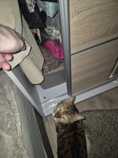 Lujdziarski - #pokazkota #dziarskikacperek Nowa miejscówka w kolejnej szafie odblokow...