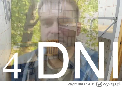 ZygmuntX19 - #kononowicz #patostreamy