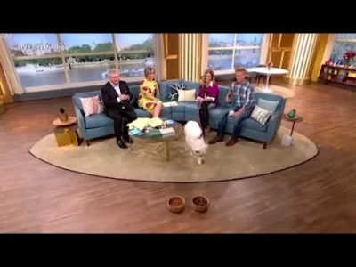 IncelAbdulAl_Stulejari - @Poopiesh