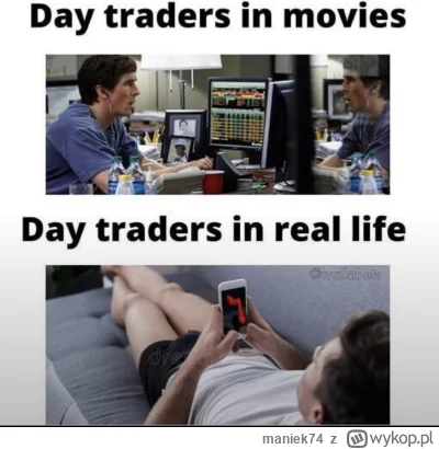 maniek74 - @nocnykot @nocnykot