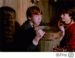 Zing - #harrypotter ten jeden ziomek na imprezie
20.00 - ŁOGIŃ
22.00 -